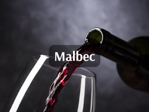 Malbec (800 x 600 px)